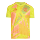 Camisa Flamengo Goleiro 2025/26 Adidas Masculina - Amarelo