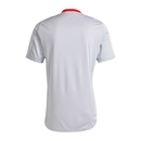 Camisa Internacional Treino 2025/26 Masculina Adidas - Cinza
